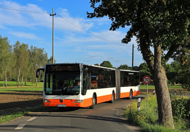 Hartmann_2168_MaspeAbzweigung