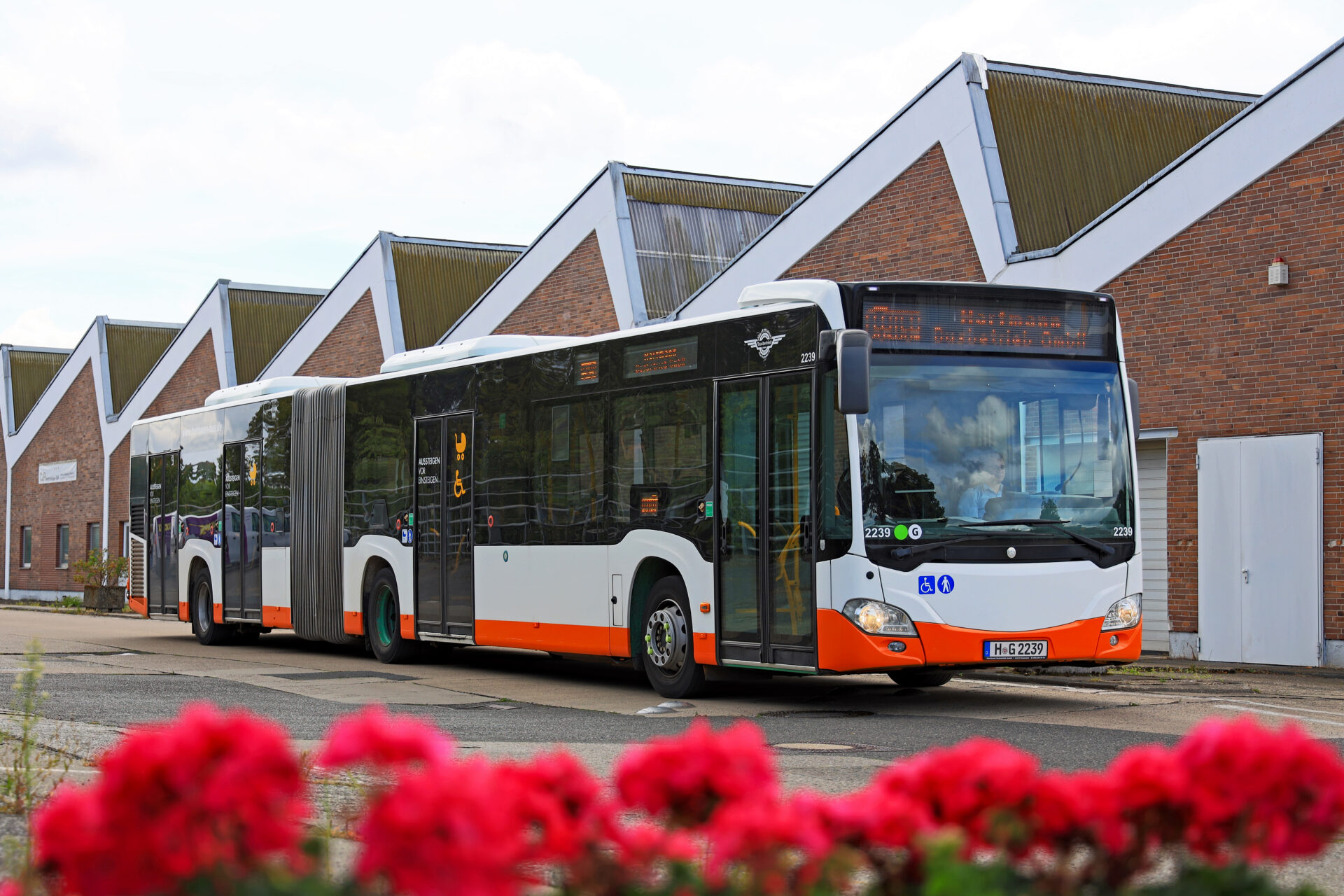 Hartmann_2239_Schlachthof_2